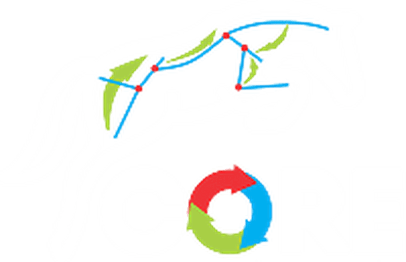 CORE — Ortopedia e Reabilitação de Equinos